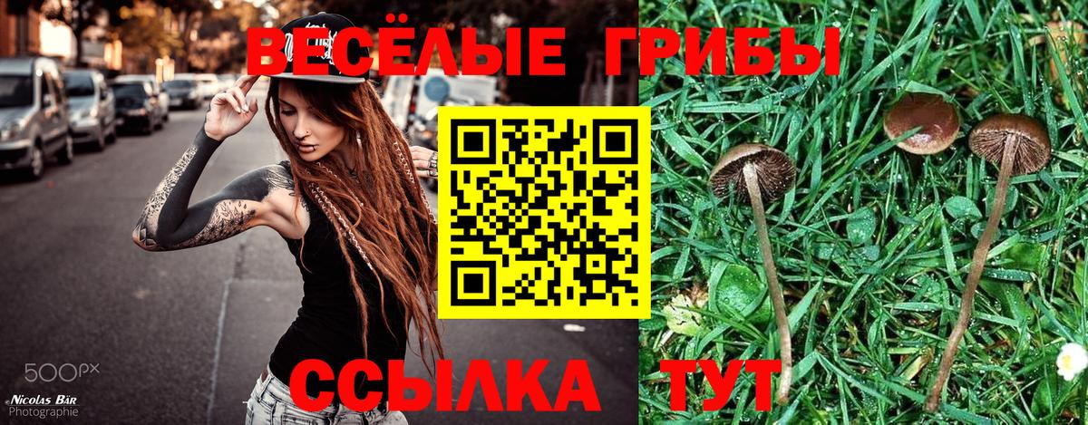 Камышлов  Псилоцибиновые грибы Cubensis  Псилоцибиновые грибы Magic Shrooms  Вход с VPN 
